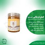 عسل درمانی خاص نیم کیلویی